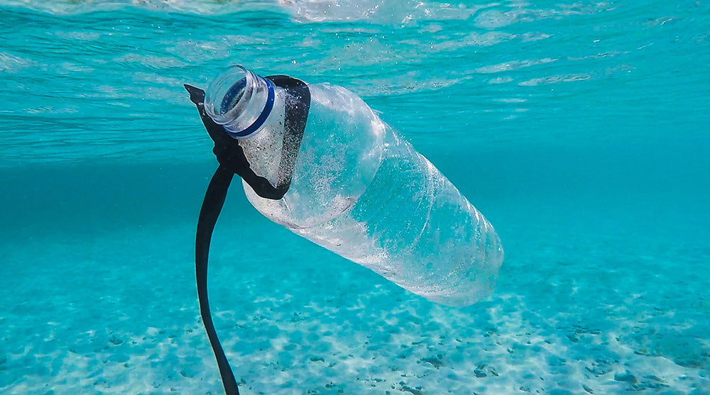 bouteille plastique recyclé pollution