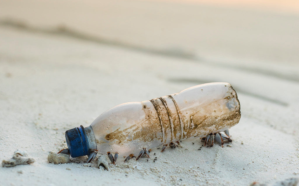 bouteilles plastiques recyclées en PET pour doublure sacs camille vegan